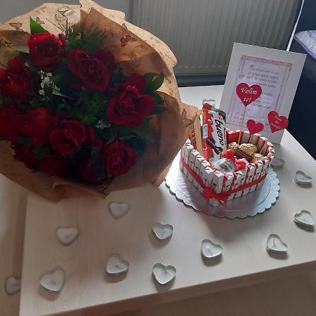 Jednosoban Stan-Centar-Ela Apartman Pirot Kültér fotó