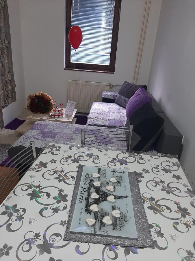 Jednosoban Stan-Centar-Ela Apartman Pirot Kültér fotó